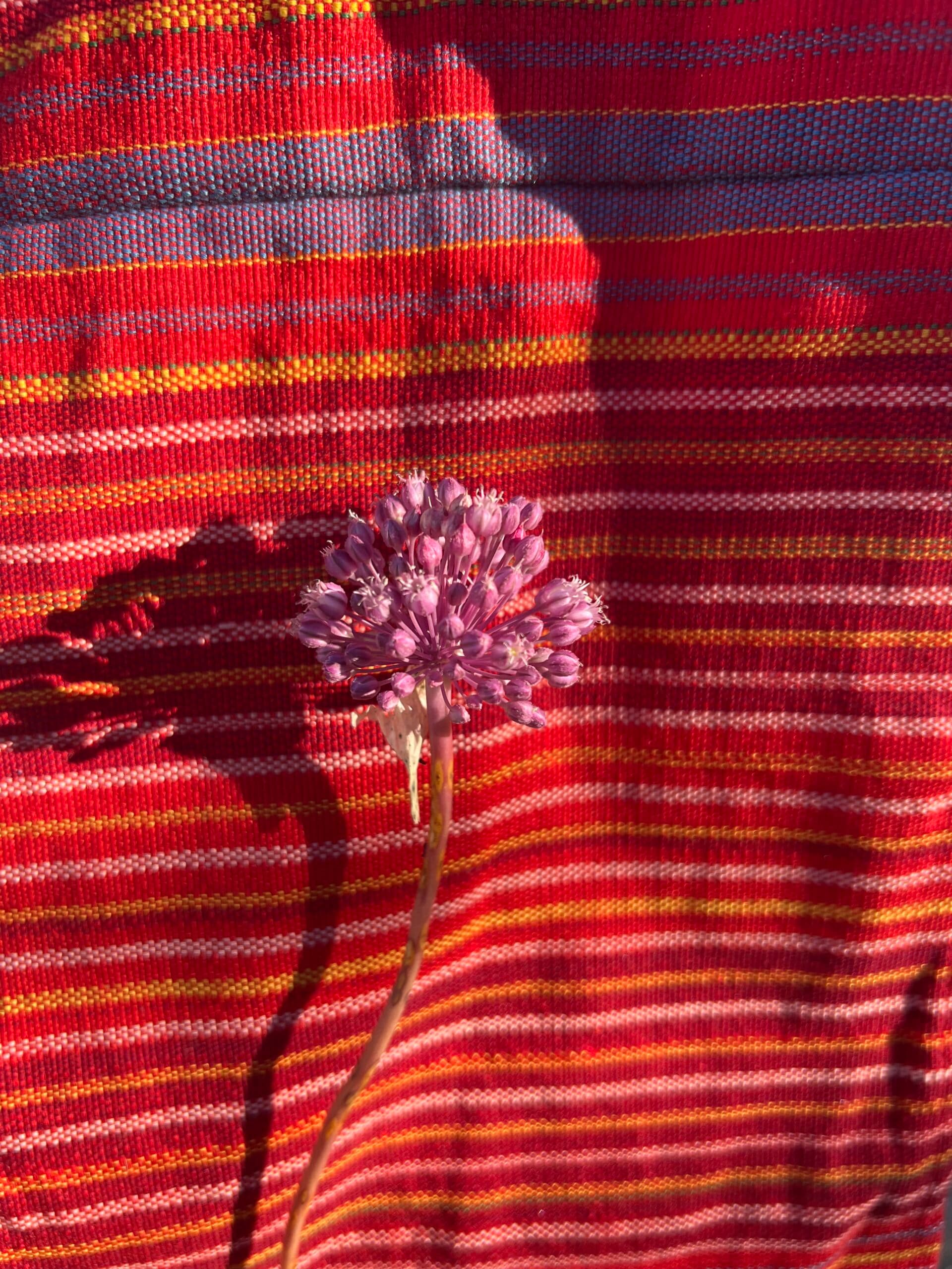 Handwoven Jacket strong Pink